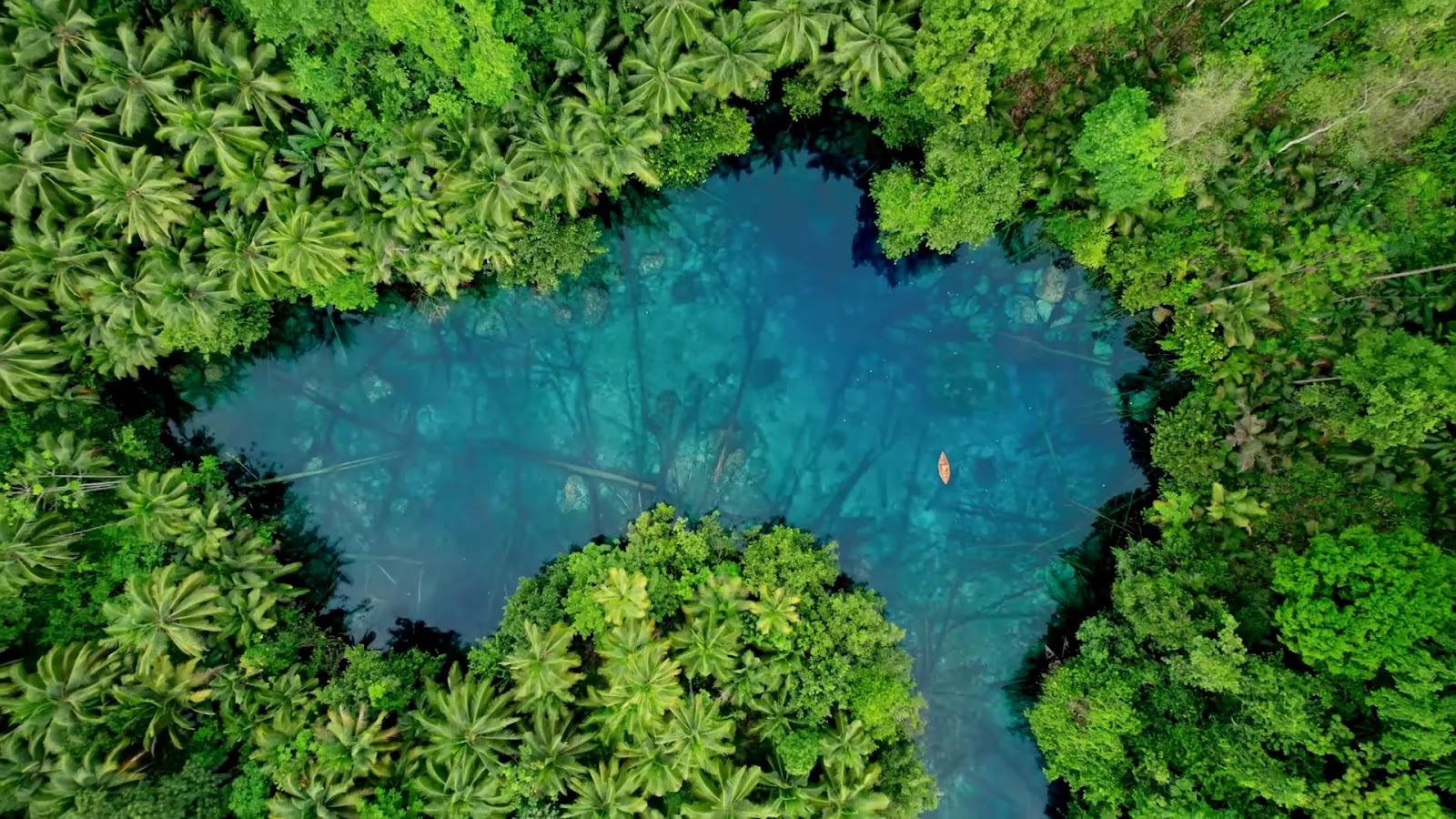 Exploring Indonesia's Hidden Gem: Crystal Clear Waters and Untouched Beauty of Banggai Island