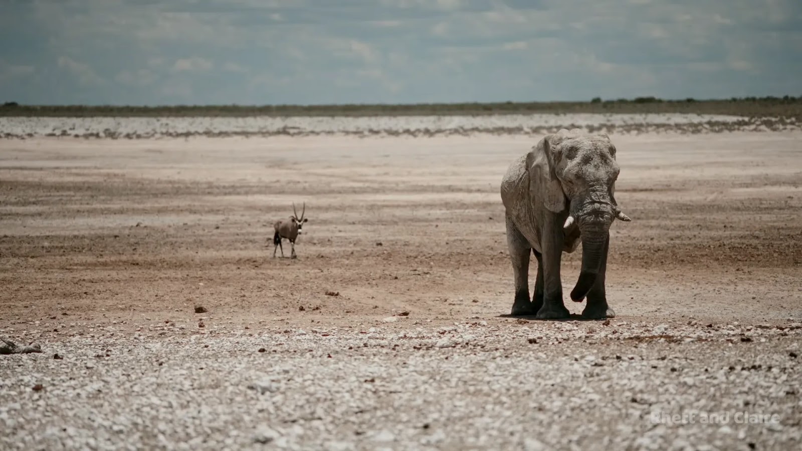 Ultimate Namibia Travel Guide: Everything You Need to Know for an Unforgettable Adventure