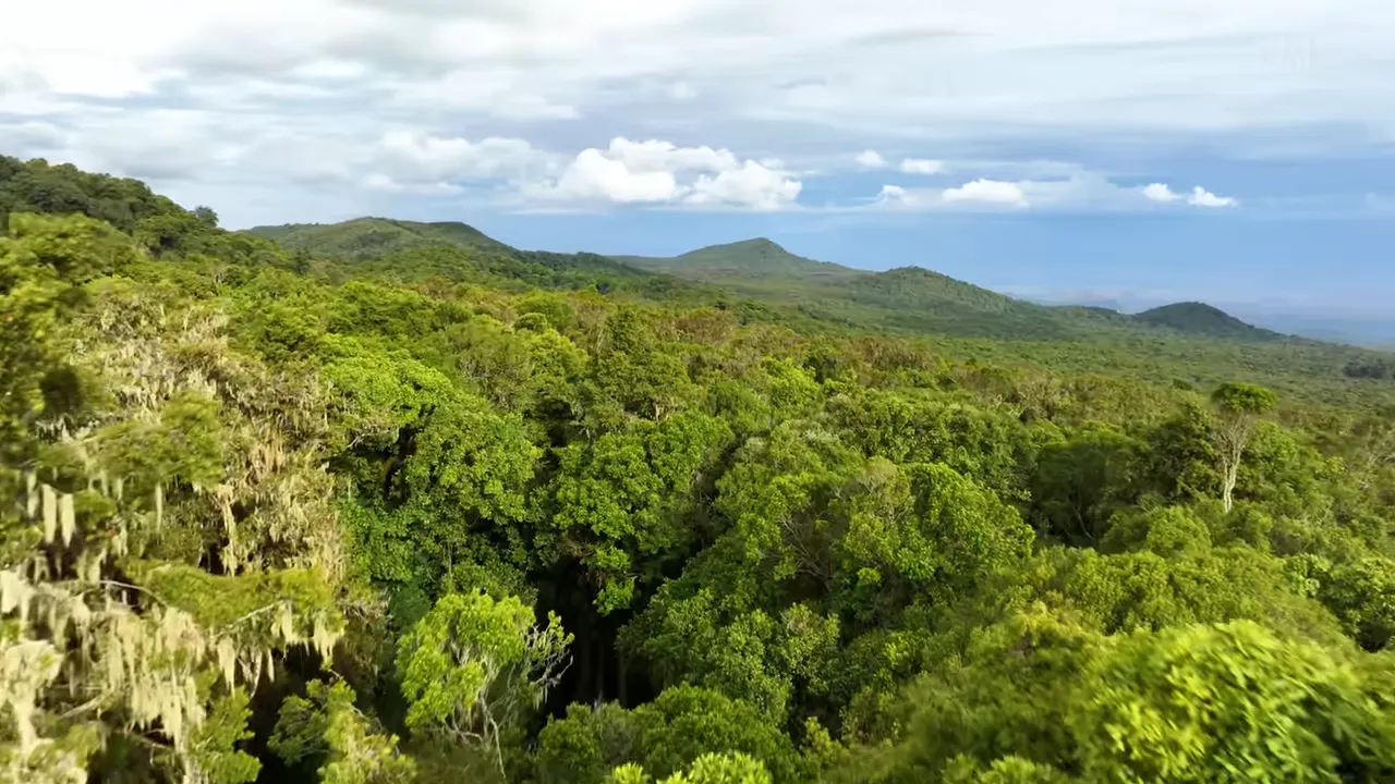 Mount Kilimanjaro: Africa’s Highest Peak