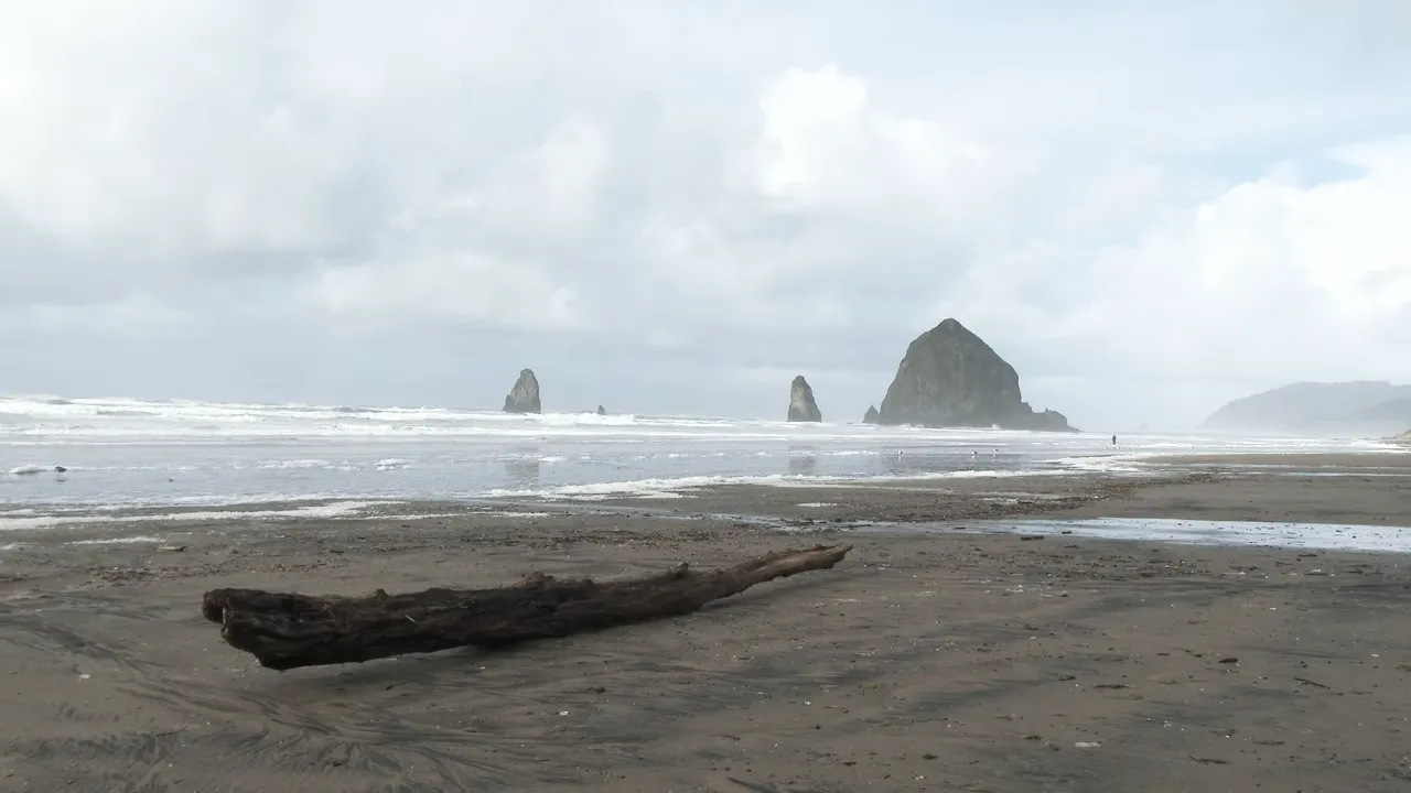 The Pacific North Cannon Beach, Oregon