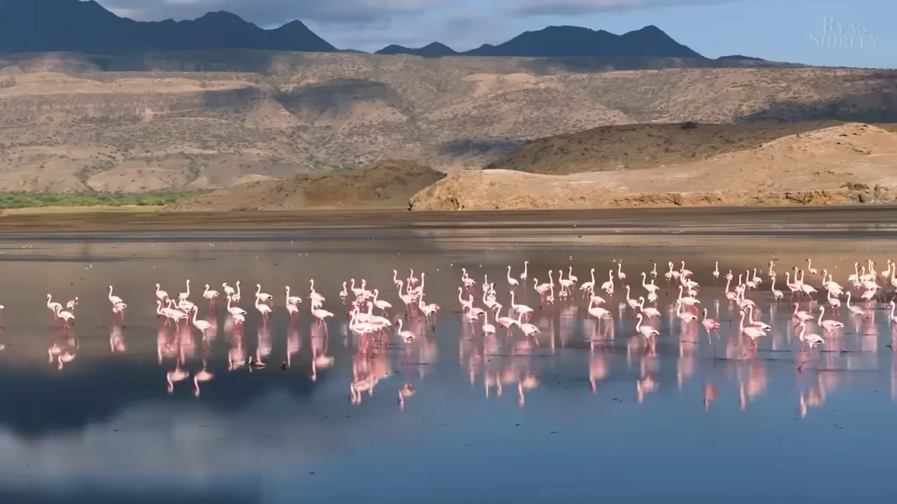 Lake Natron