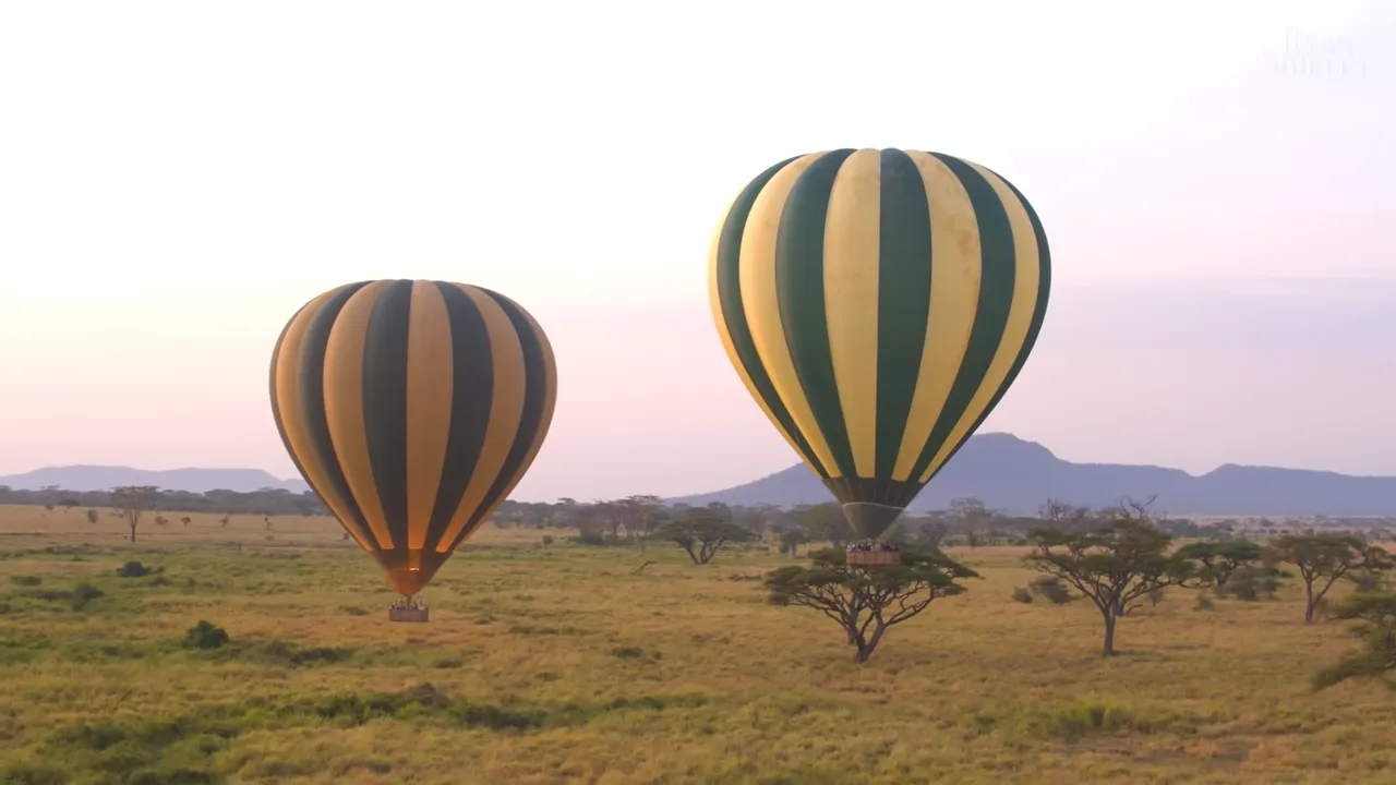 Hot Air Balloon Safari: A Unique Perspective